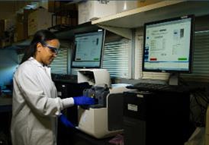 A technician at a laboratory workstation